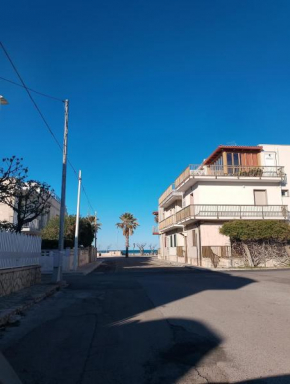 Casa numero 7